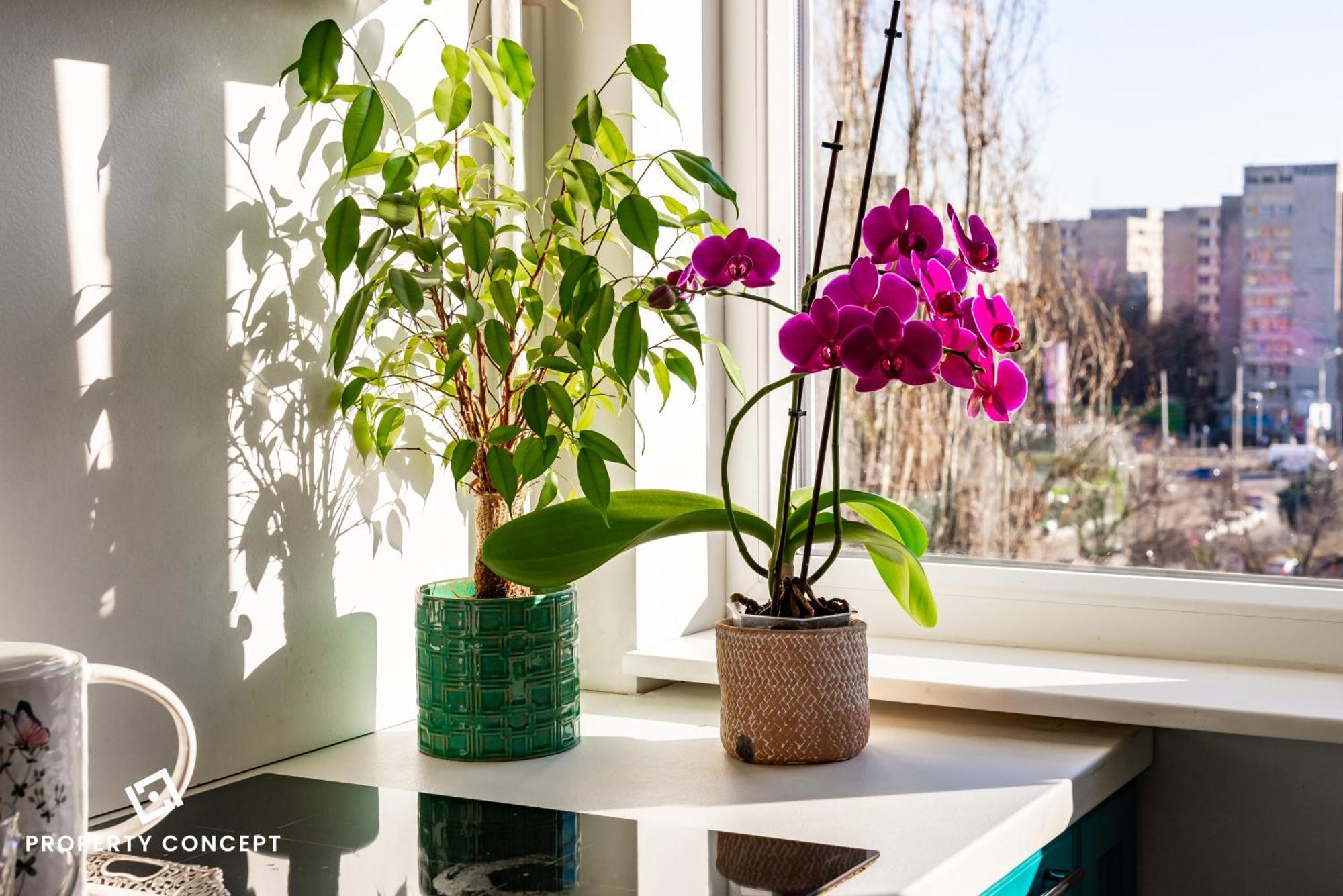 Blissful Retreat Apartment Bucureşti Eksteriør bilde