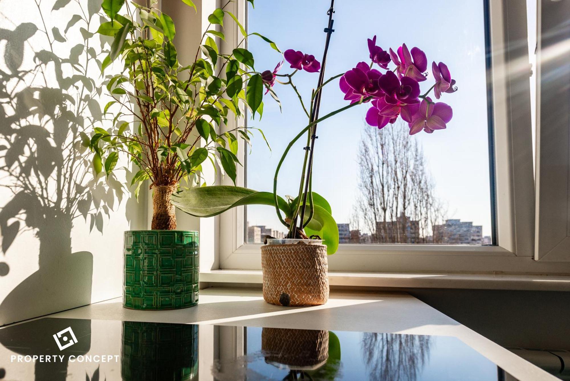 Blissful Retreat Apartment Bucureşti Eksteriør bilde