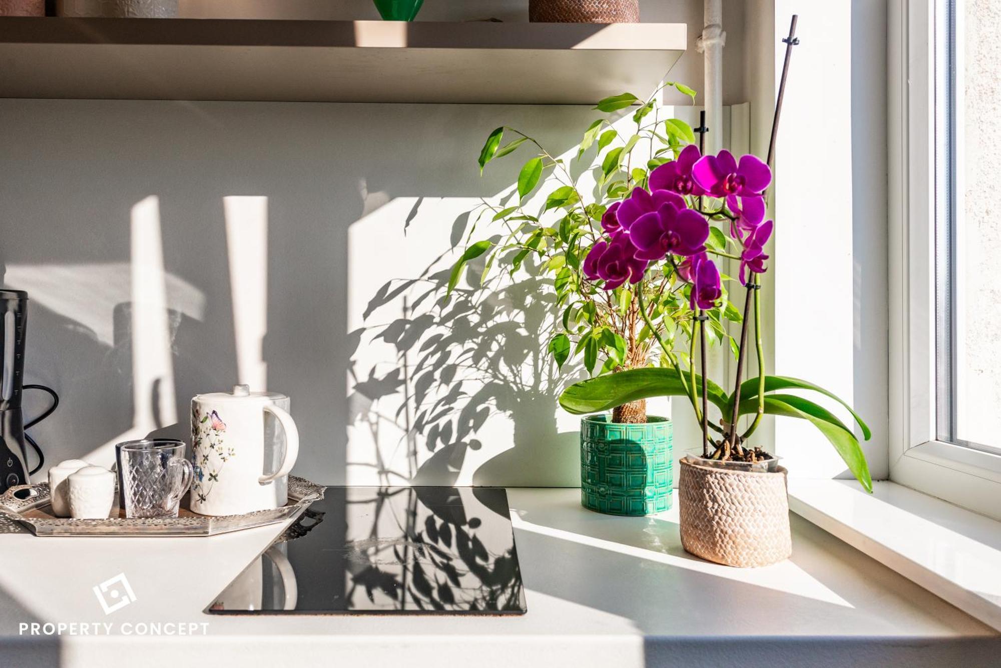 Blissful Retreat Apartment Bucureşti Eksteriør bilde
